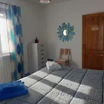 Il Vecchio Ulivo Sa Tanca *
