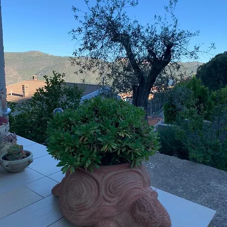 Il Vecchio Ulivo Sa Tanca Ussassai