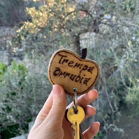 Il Vecchio Ulivo Sa Tanca Bed & Breakfast Ussàssai